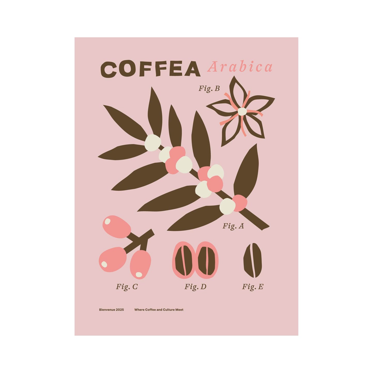 BIENVENUE COFFEE FEST SCREENPRINT