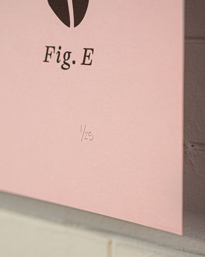 BIENVENUE BOTANICAL POSTER